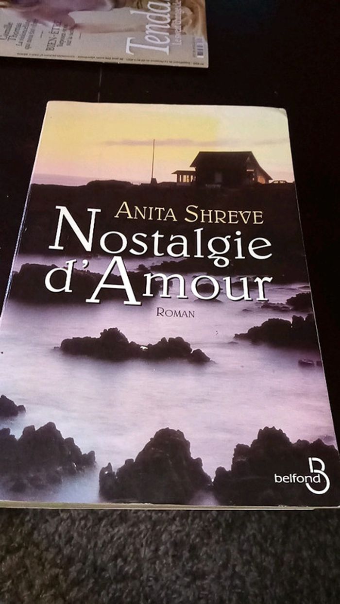 Roman nostalgie d amour