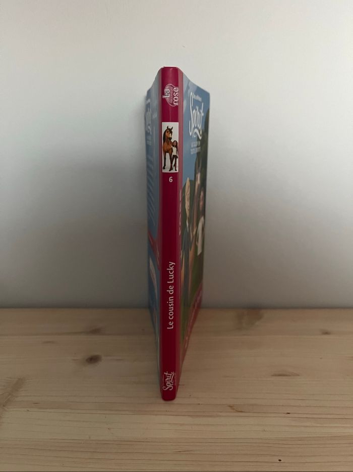 Spirit au galop en toute liberté - photo numéro 3