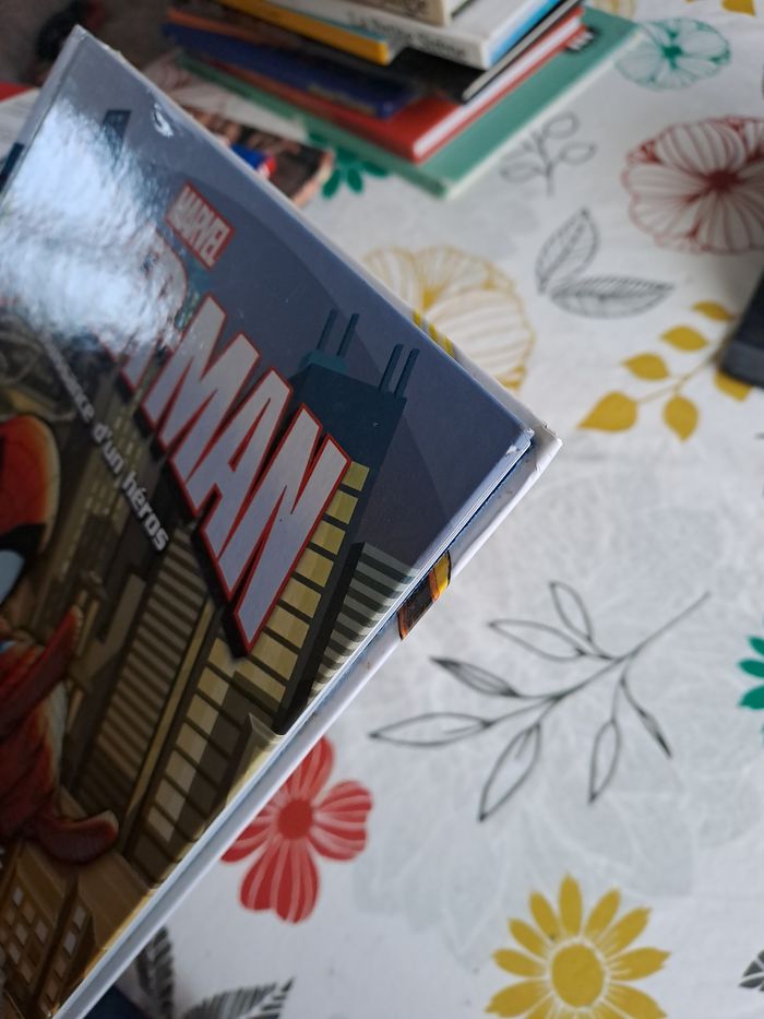 Spiderman la naissance d un héros - photo numéro 5