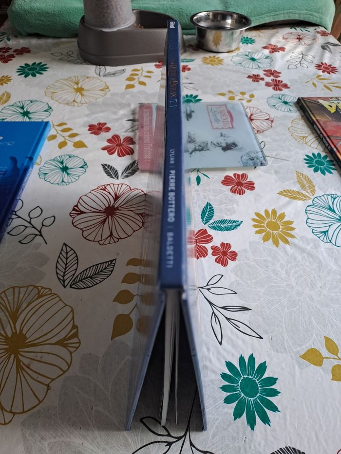 La quête d elwilan, tome 1, d un monde a l autre - photo numéro 4