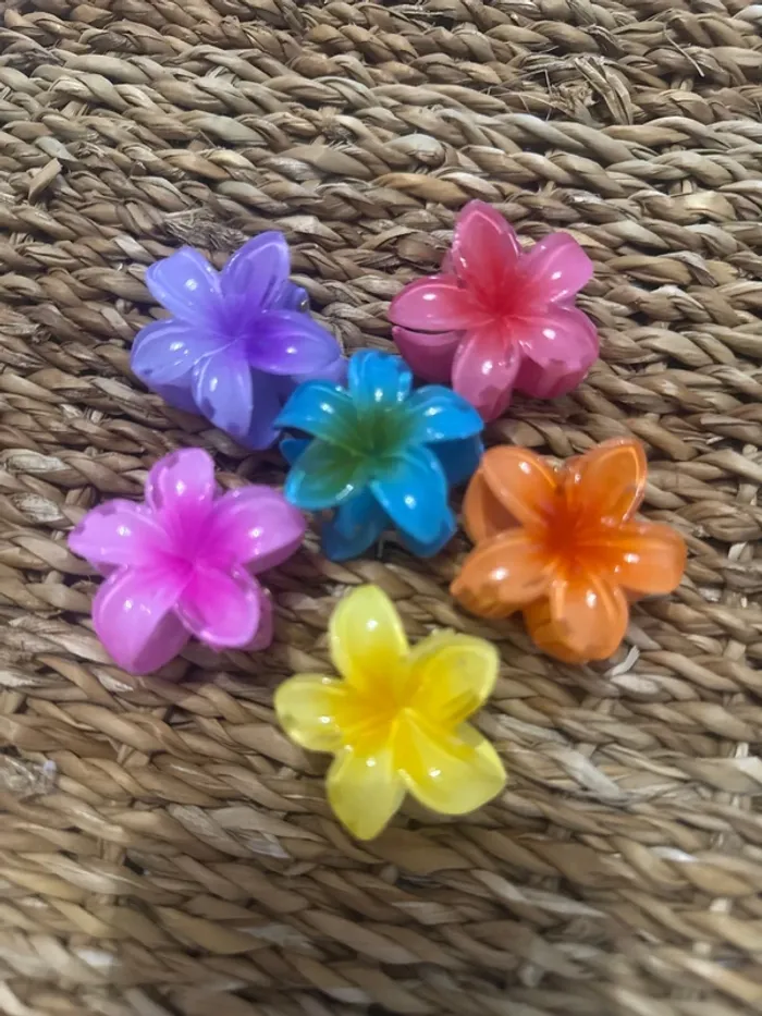 Lot de 6 pinces à cheveux fleurs