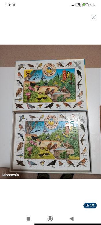 Puzzle sur les oiseaux 70 pièces 