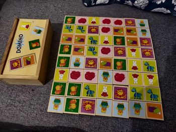 Boîte de 30 dominos en bois