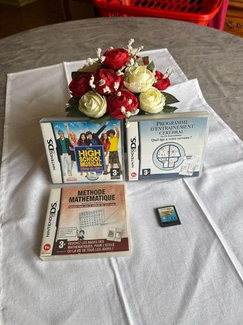 Jeux vidéos. Nitendo DS.