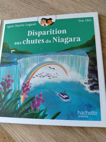 Disparition aux chutes du Niagara 