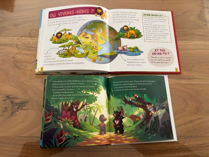 Livre le lion - photo numéro 5