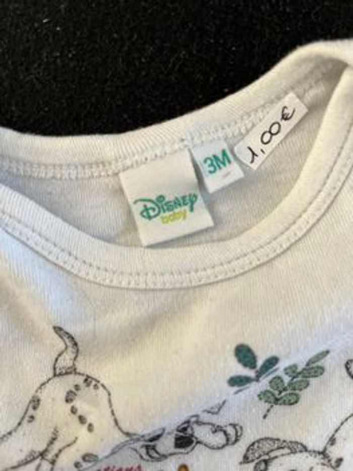 Bodie 3 mois - photo numéro 5