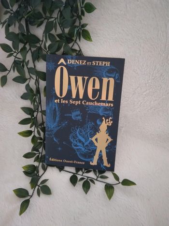 🍁A 3.5€ uniquement ce week-end 🍁 🌿Livre Ôwen et les sept cauchemars neuf🌿