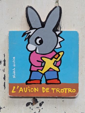 L'avion de Trotro