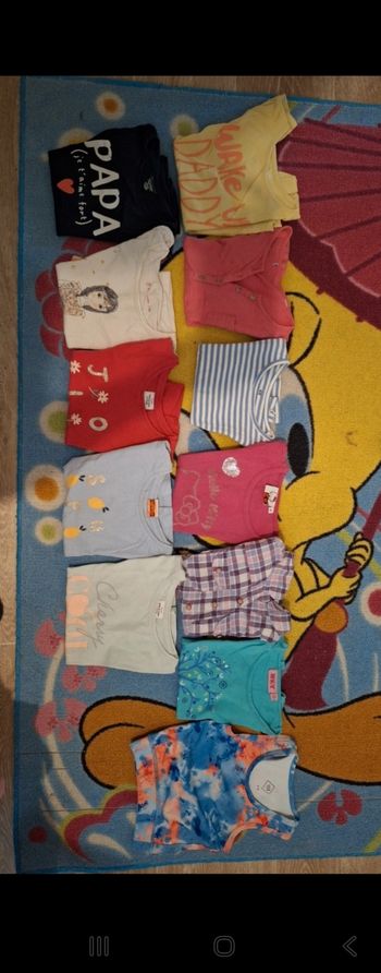Lot de 12 tee-shirts fille