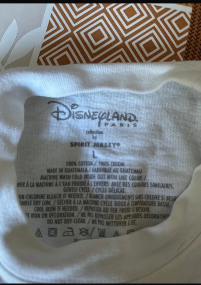 Sweat-shirt léger Disneyland - photo numéro 3