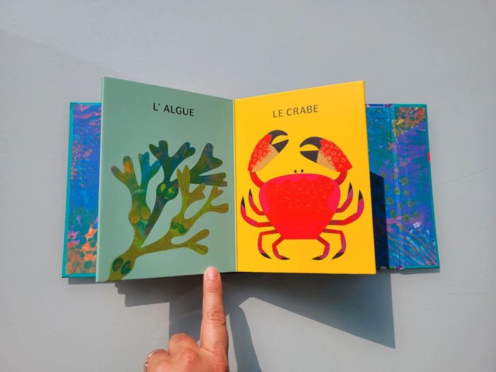 Superbe livre accordéon Amaterra 🪸 Sous la Mer 🐡 - photo numéro 12