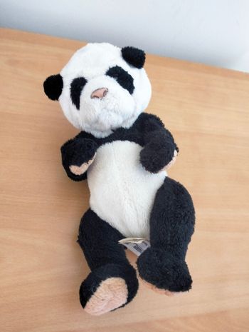 Panda Newborn