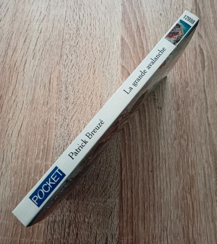 Patrick Breuzé 🪅 La grande avalanche - photo numéro 3