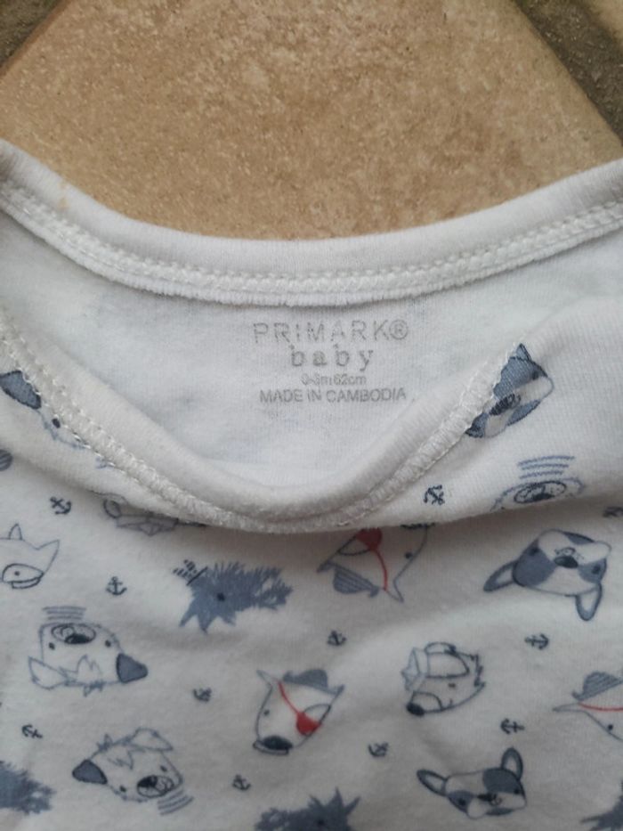 Body manches courtes chien 3 mois - photo numéro 2