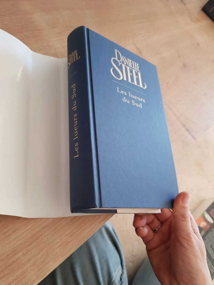Les lueurs du Sud- Danielle Steel - photo numéro 4