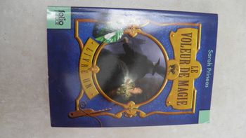 Livre Le voleur de magie - livre 1