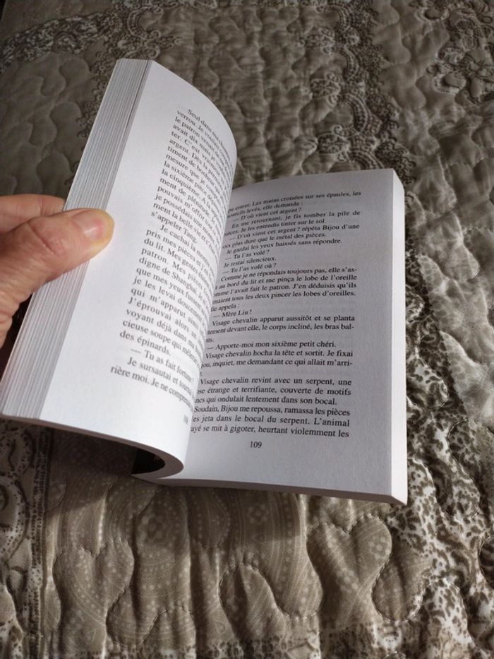 Les Triades de Shanghai de Bi Feiyu - photo numéro 7