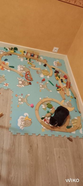 Circuit de train en bois ancienne génération.