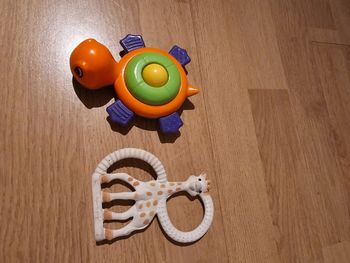 Sophie la girafe et tortue