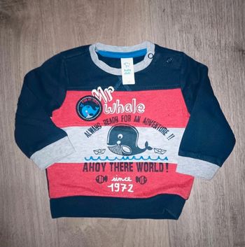Sweat baleine 9 mois Baby club