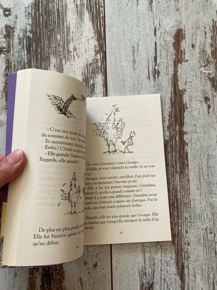 Livre La Potion magique de Georges Bouillon - photo numéro 2