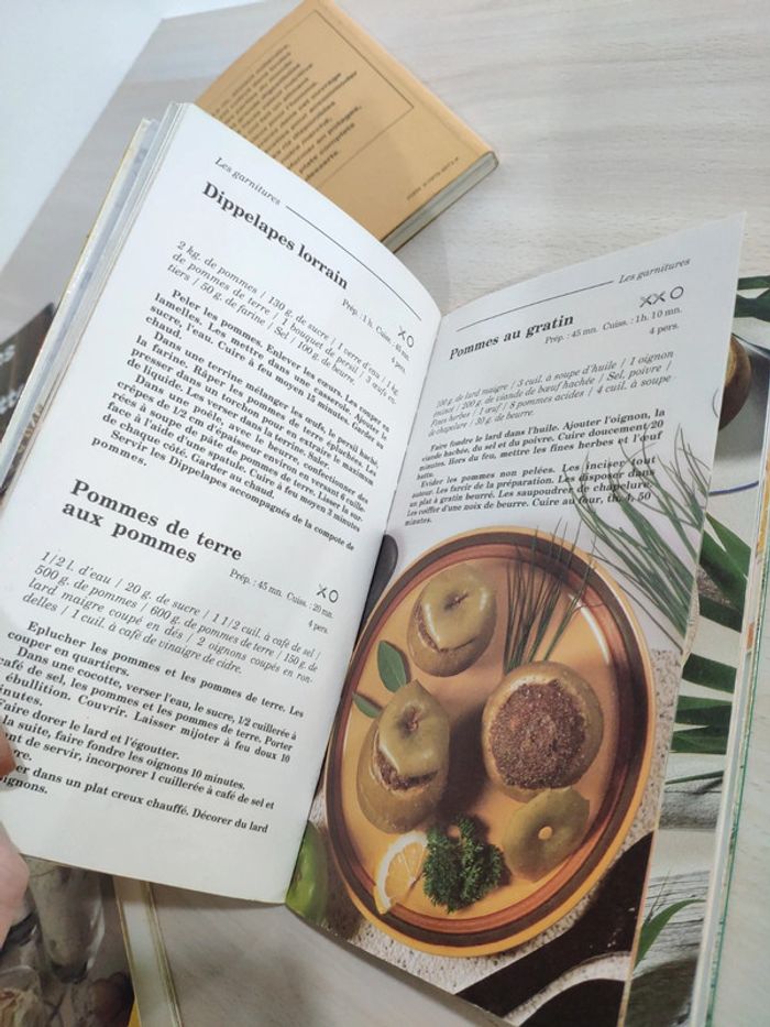Lot 6 livres cuisine recettes pommes riz desserts fondues raclettes gratins - photo numéro 9