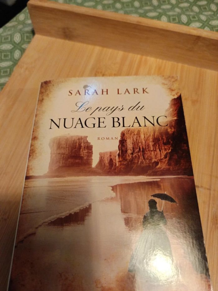 Livres Sarah Lark roman comme neuf - photo numéro 3