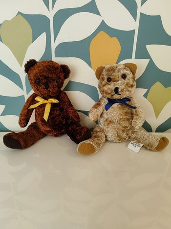 Peluche/ doudou ourson/ nounours/ ours