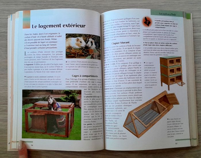 votre petit rongeur, le comprendre, le nourrir, le soigner, connaître les espèces - photo numéro 9
