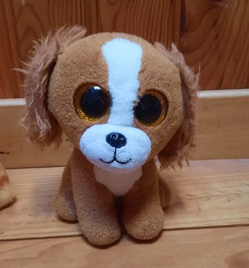 Peluche chien