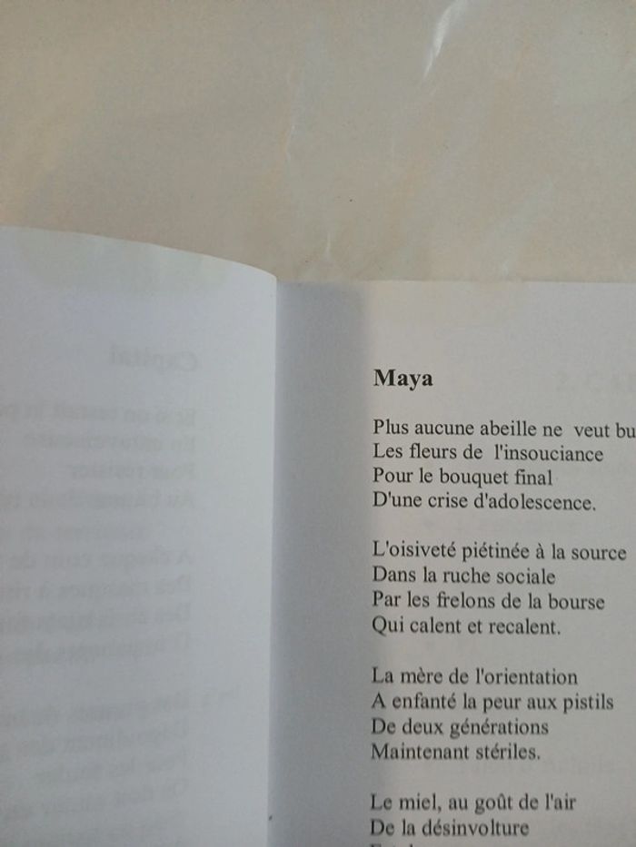 Livre de poésies - photo numéro 5