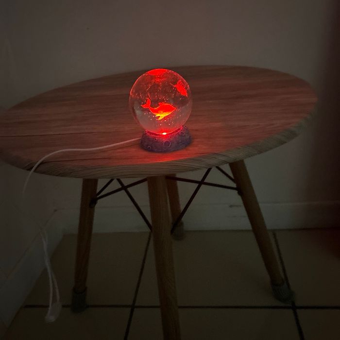 Boule De Cristal Dauphin En Verre