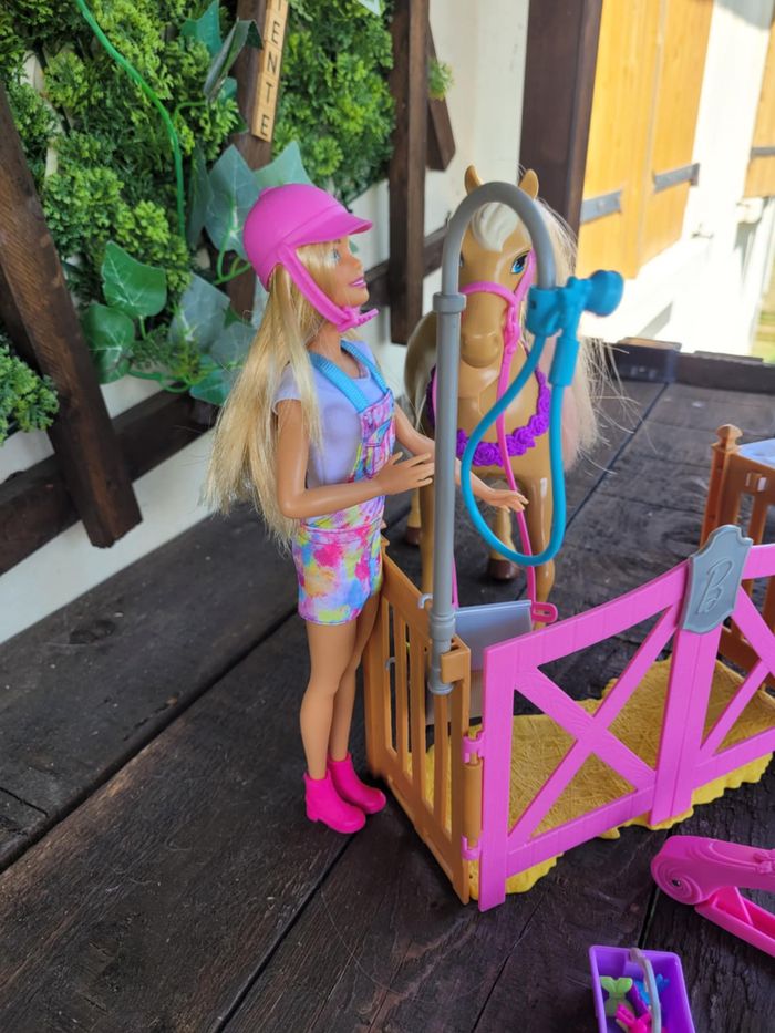 Lot toilettage chevaux Barbie - photo numéro 3