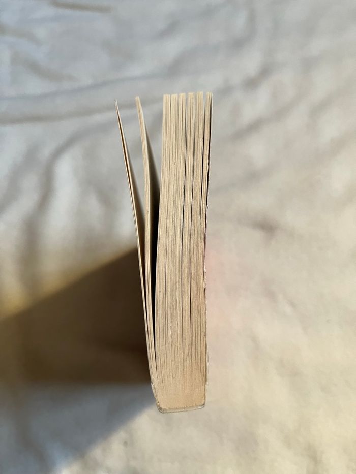 Dialogue avec l’au delà - photo numéro 3