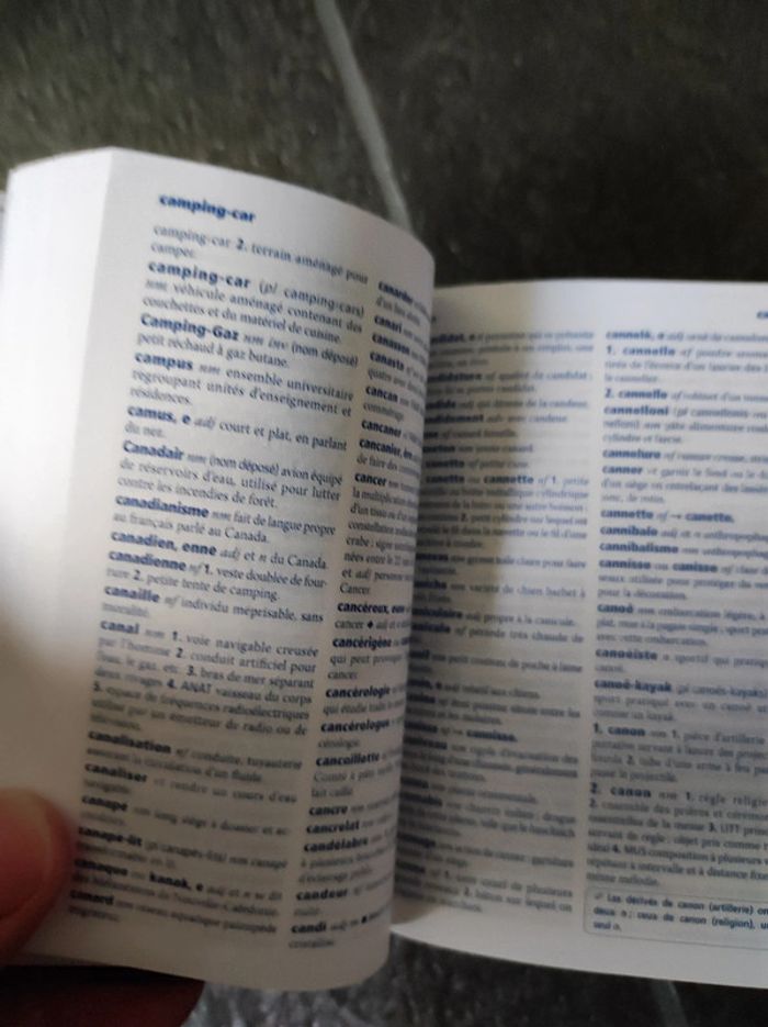 Mini dictionnaire Larousse - photo numéro 3