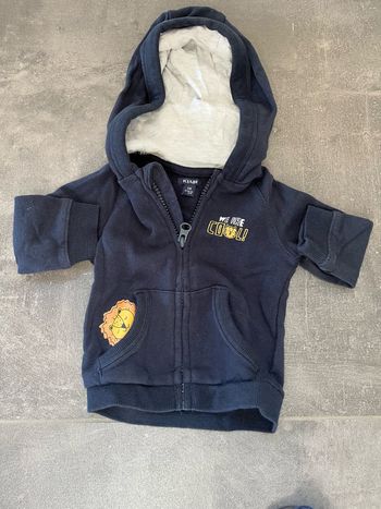 Veste capuche taille 6 mois