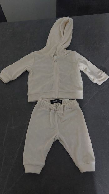 Tutina ciniglia guess