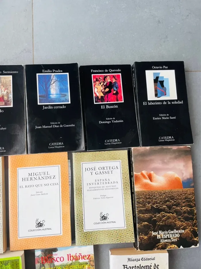Livres littératures classique et moderne espagnole - photo numéro 3