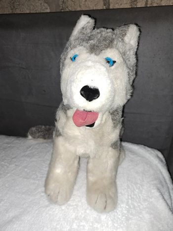 Peluche husky
