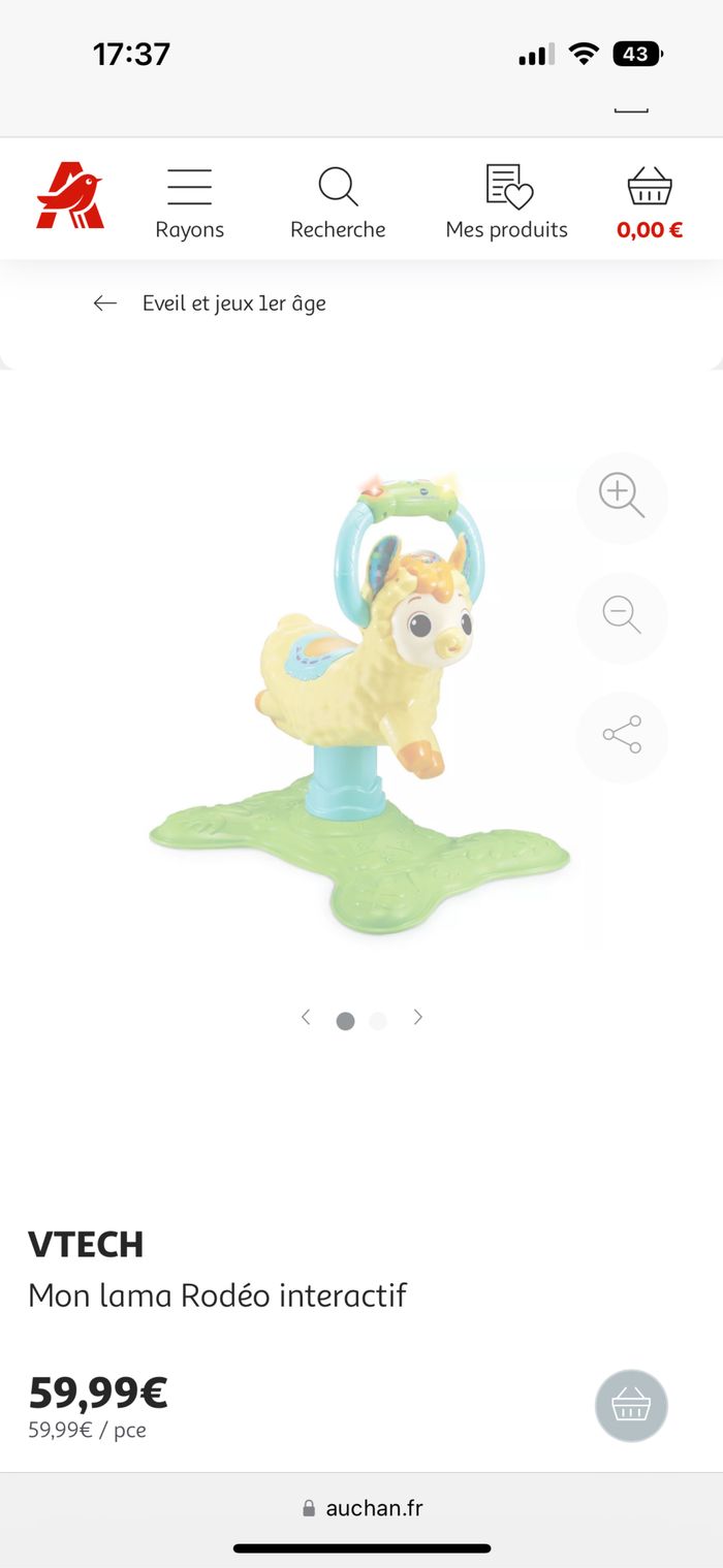 Lama rodéo - photo numéro 3