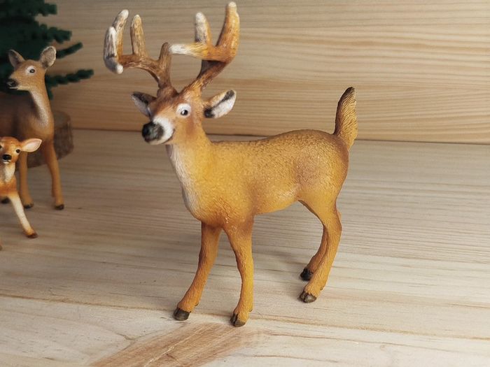 Schleich famille corvidés Figurines animal de la forêt - photo numéro 7