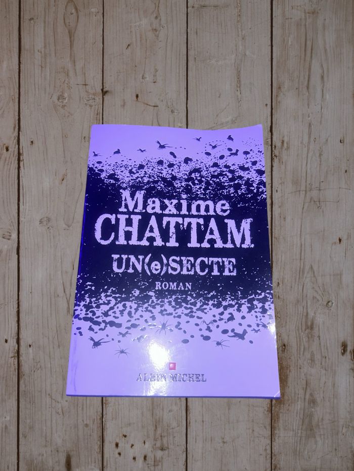 Livre maxime chattam une secte - photo numéro 2