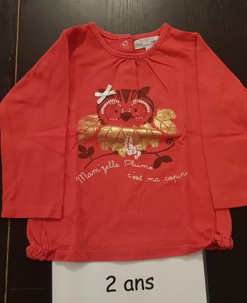 T-shirt chouette ml 2 ans