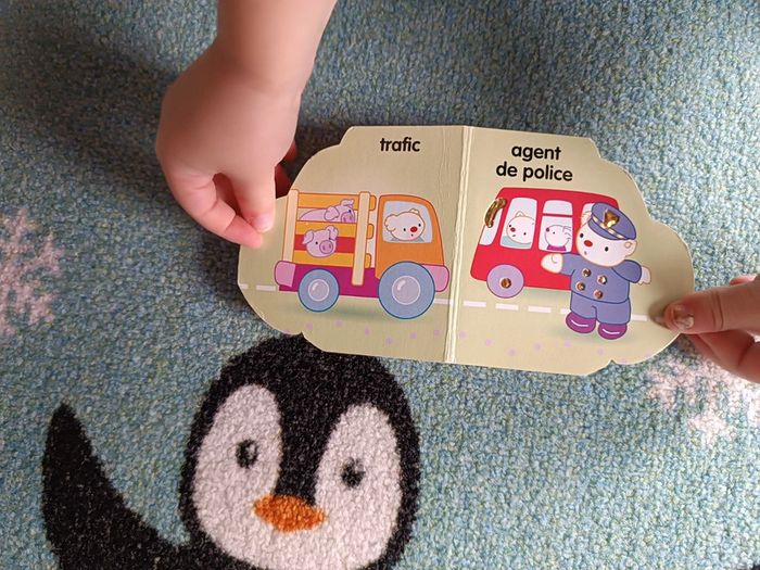 Livre police - photo numéro 4