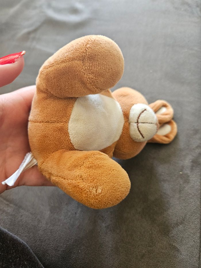 Lapin - photo numéro 5