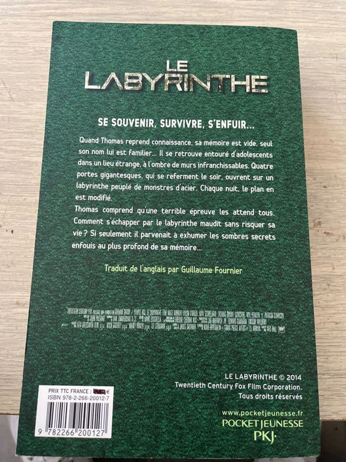 Livre le labyrinthe - photo numéro 2