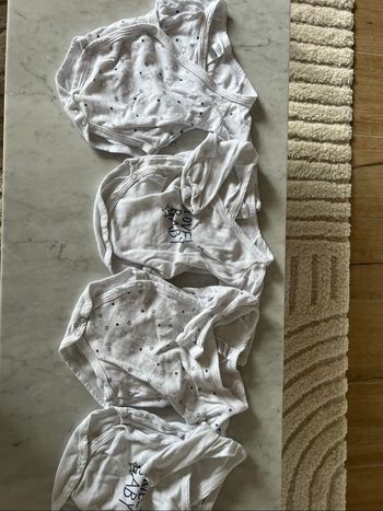 Lot 4 bodies