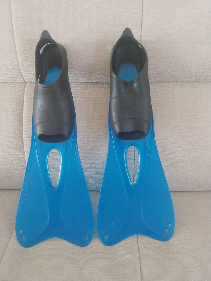 palme tribord - photo numéro 2