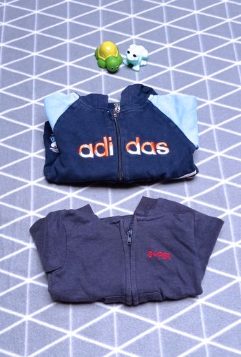 🦁 2 vestes zippées à capuche, 6 mois